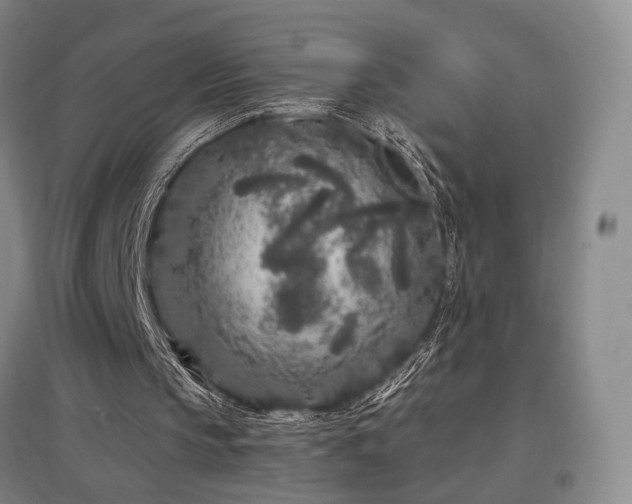 X0000097470145200802221244