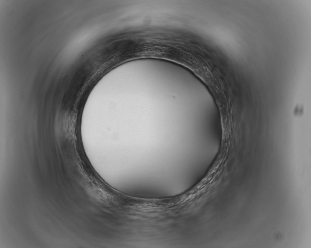 X0000097470146200802221244