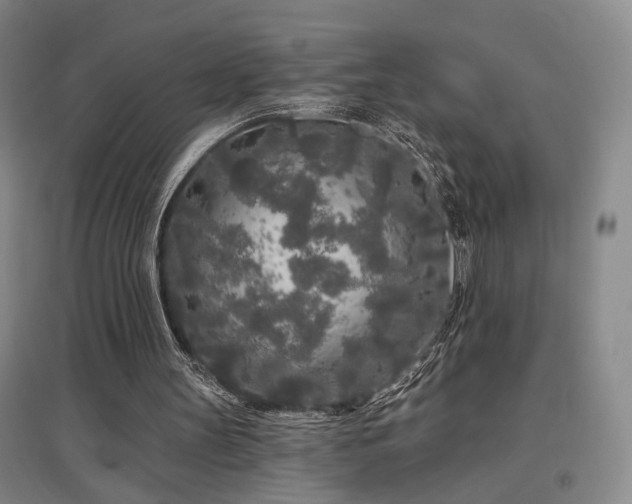 X0000097470147200802221244