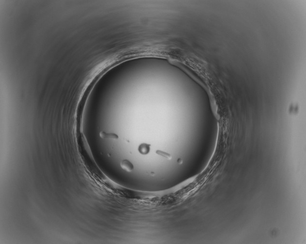 X0000097470148200802221244