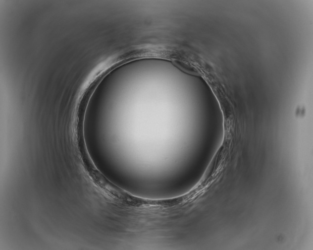 X0000097470150200802221244