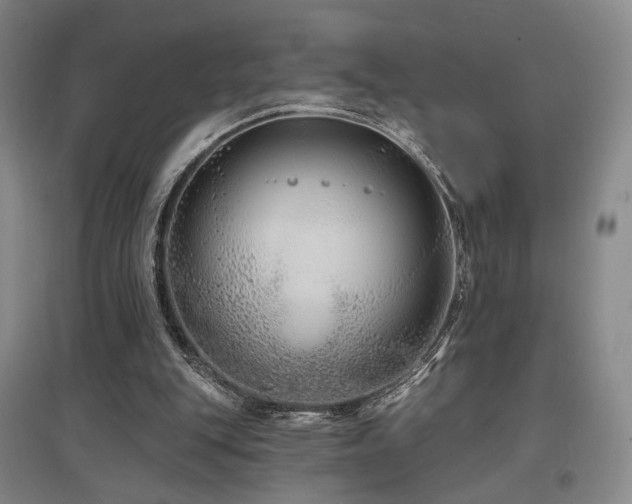 X0000097470151200802221244