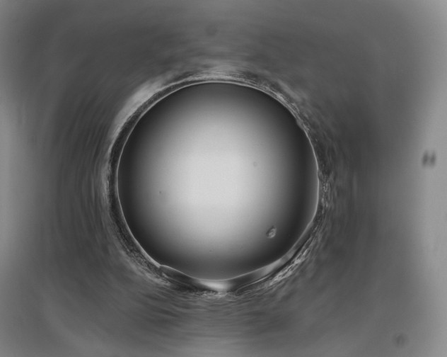 X0000097470152200802221244