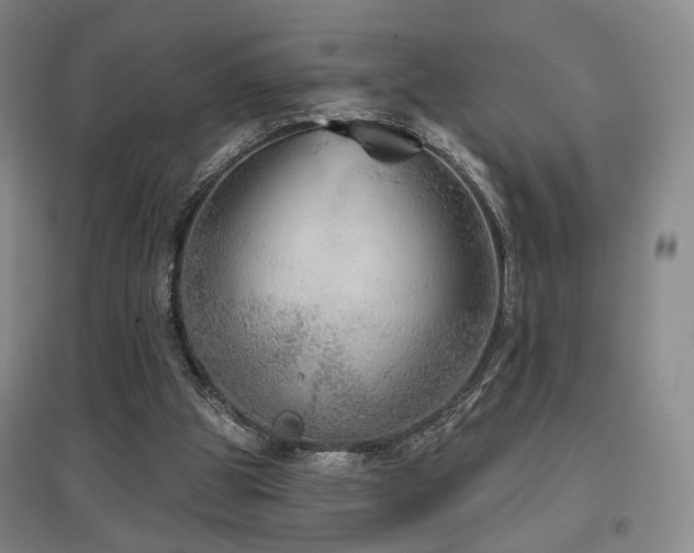 X0000097470153200802221244
