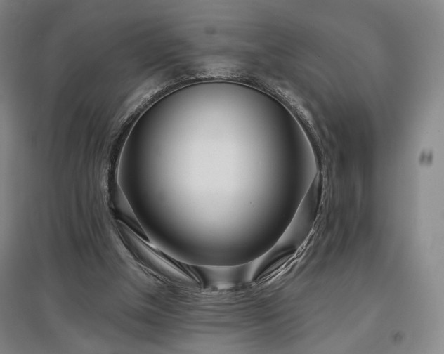 X0000097470154200802221244