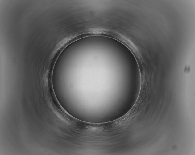 X0000097470155200802221244