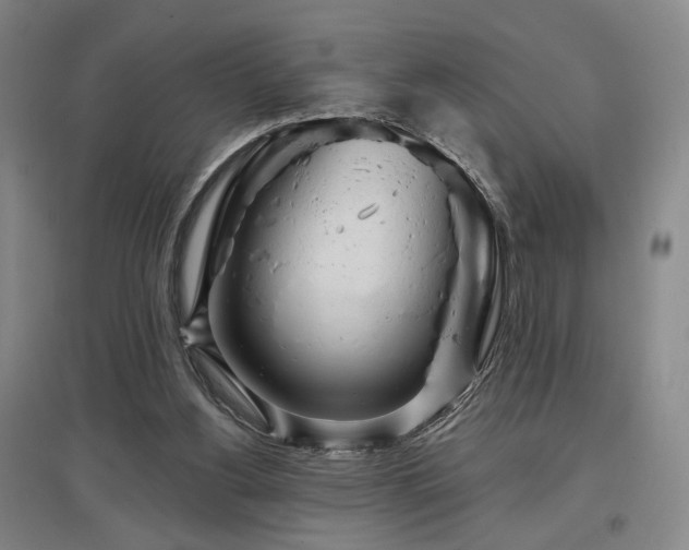 X0000097470156200802221244