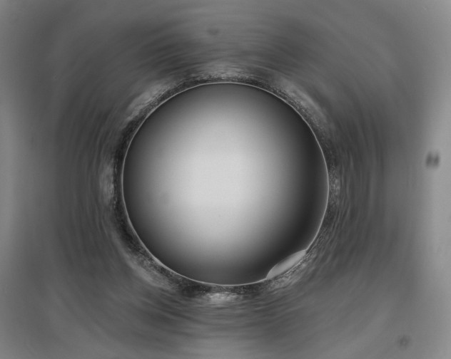 X0000097470158200802221244