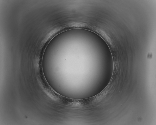 X0000097470159200802221244