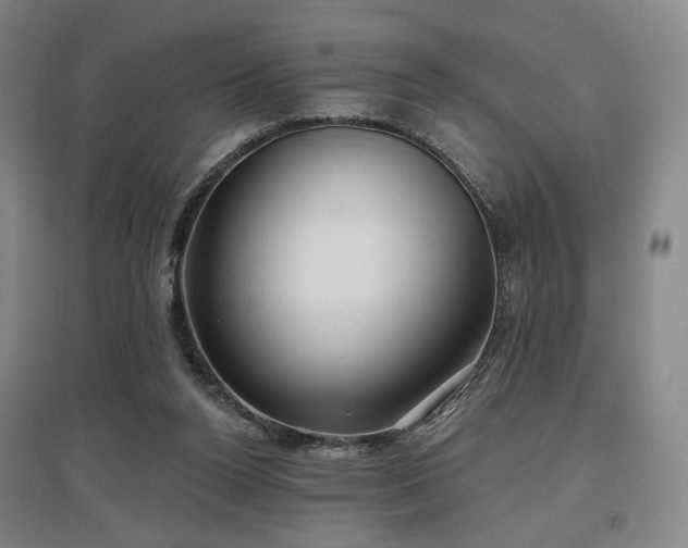 X0000097470160200802221244