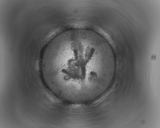 X0000097470161200802221244