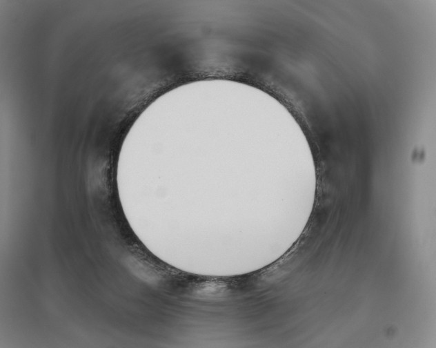 X0000097470162200802221244