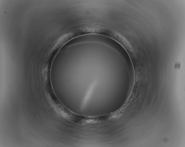 X0000097470163200802221244