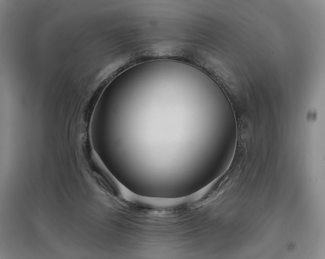 X0000097470164200802221244