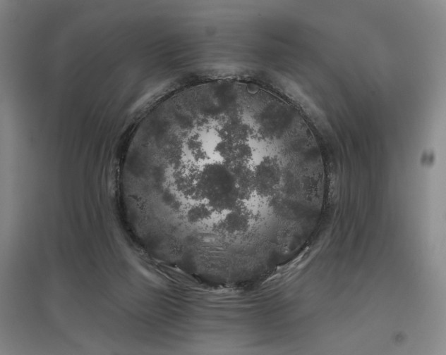 X0000097470165200802221244