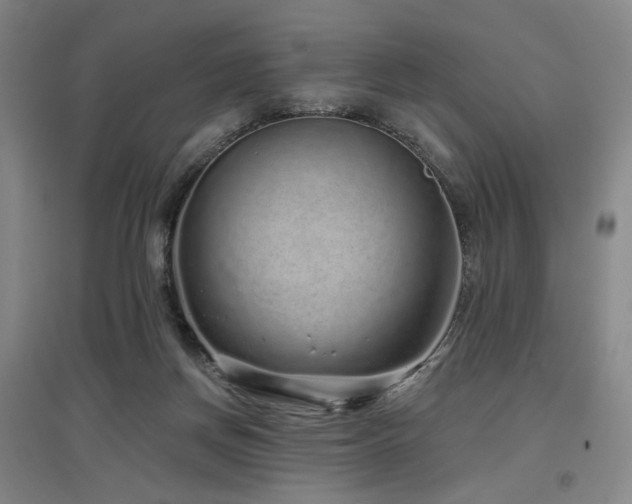 X0000097470166200802221244