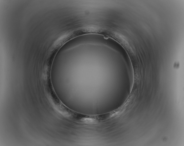 X0000097470167200802221244