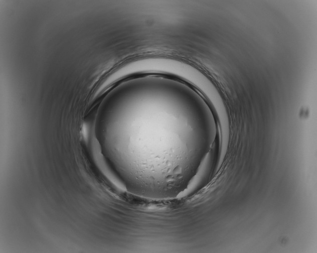 X0000097470168200802221244