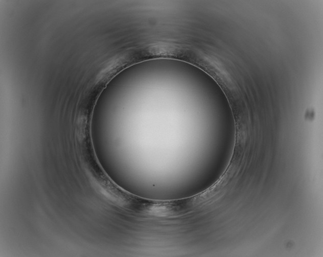 X0000097470171200802221244