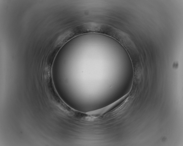 X0000097470172200802221244