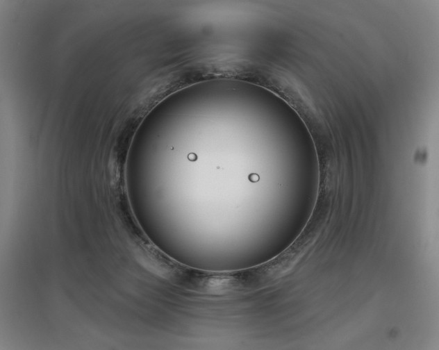 X0000097470173200802221244