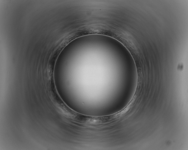 X0000097470174200802221244