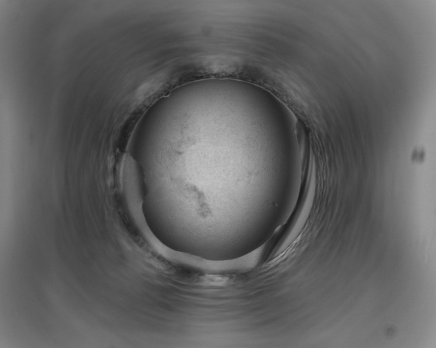 X0000097470176200802221244