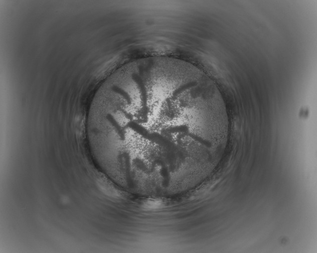 X0000097470177200802221244