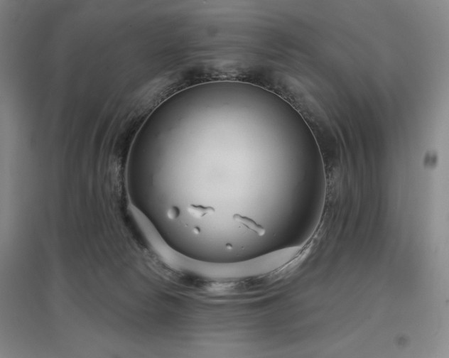 X0000097470178200802221244