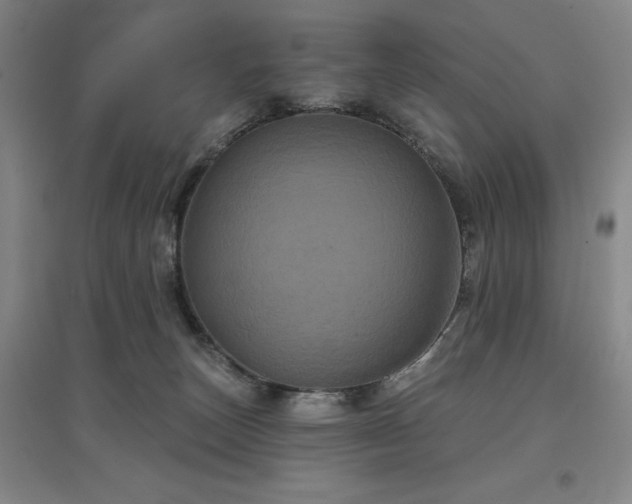 X0000097470179200802221244