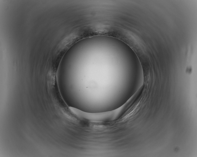 X0000097470180200802221244