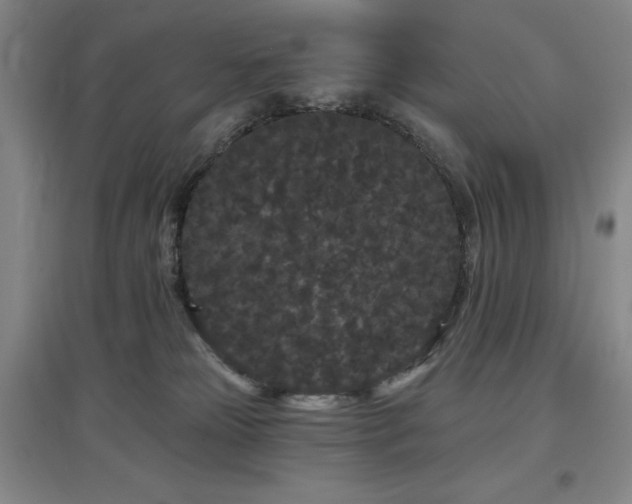 X0000097470181200802221244