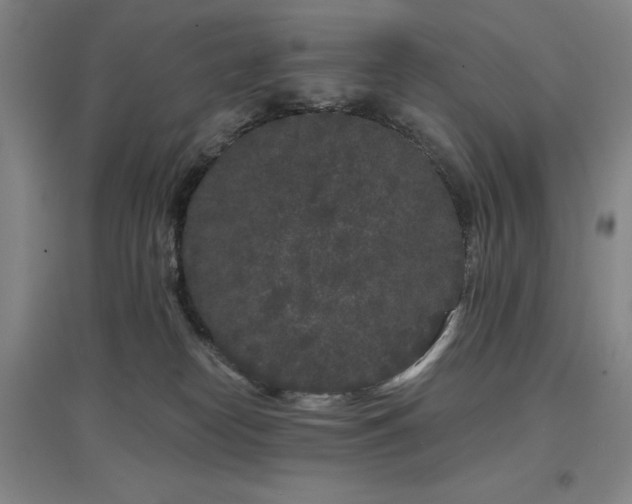 X0000097470182200802221244