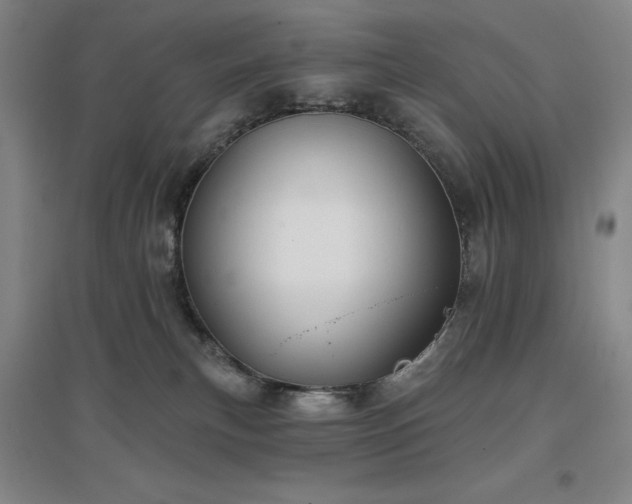 X0000097470183200802221244