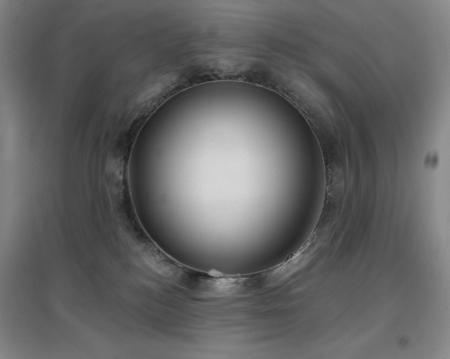 X0000097470184200802221244