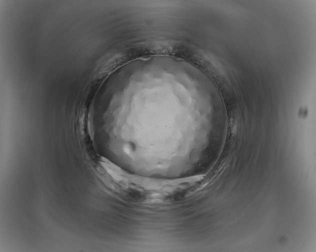 X0000097470185200802221244
