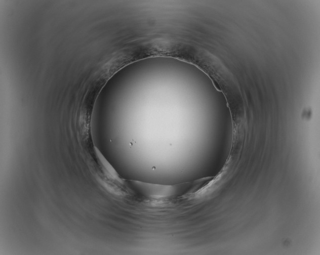 X0000097470186200802221244