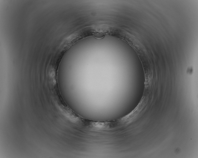 X0000097470187200802221244