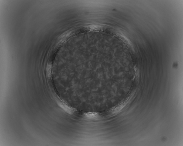 X0000097470189200802221244