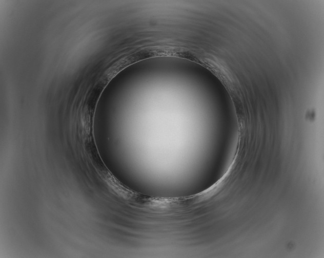 X0000097470190200802221244
