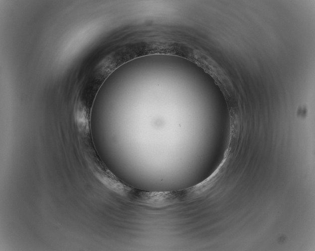 X0000097470191200802221244