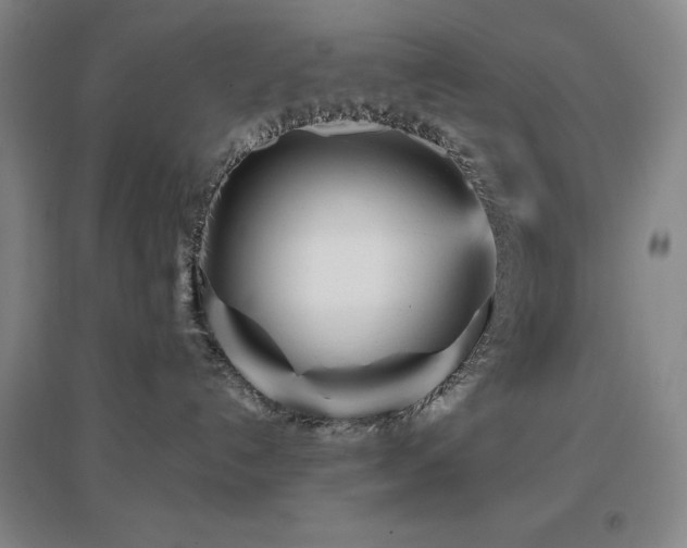 X0000097470192200802221244