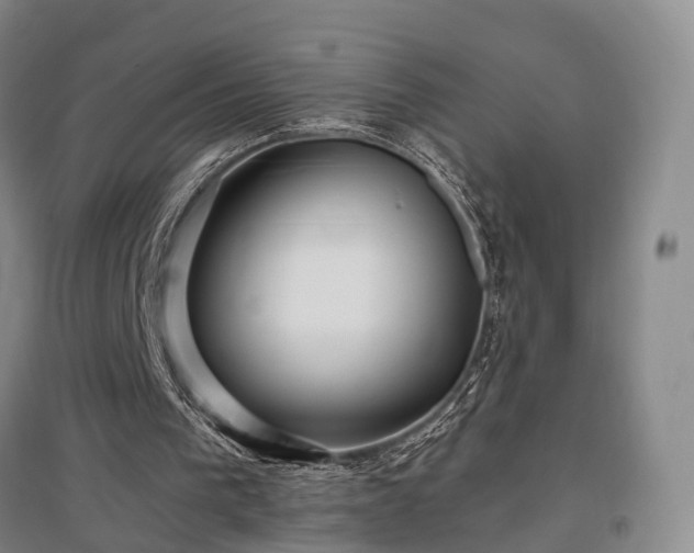 X0000097470193200802221244