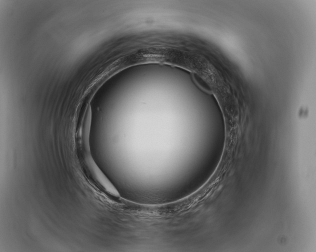 X0000097470194200802221244