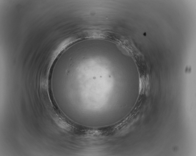X0000097470195200802221244