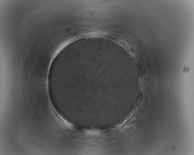 X0000097470196200802221243