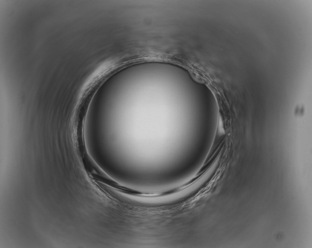 X0000097470197200802221243