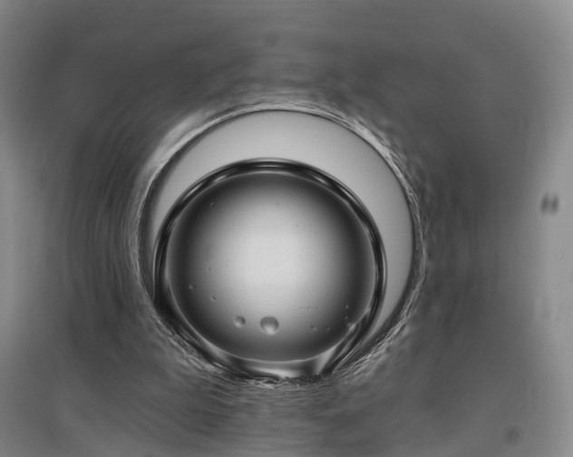 X0000097470199200802221243
