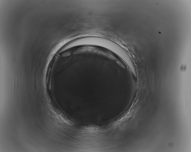 X0000097470200200802221243