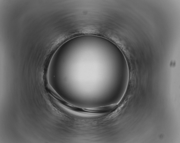 X0000097470201200802221243
